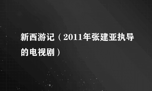 新西游记（2011年张建亚执导的电视剧）