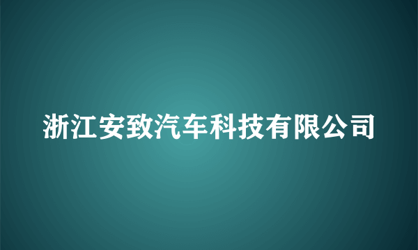 浙江安致汽车科技有限公司