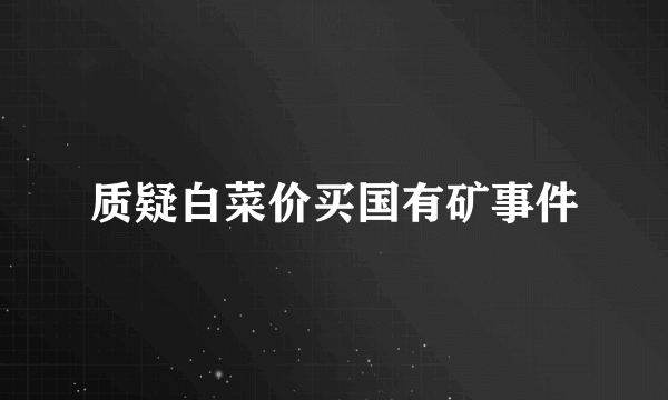 质疑白菜价买国有矿事件
