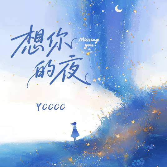 想你的夜（ycccc演唱的歌曲）