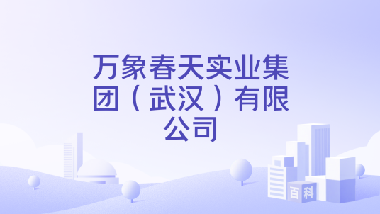 万象春天实业集团（武汉）有限公司
