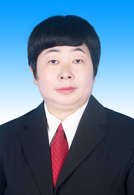 唐芳（陕西省商洛市洛南县人大常委会党组成员、副主任）