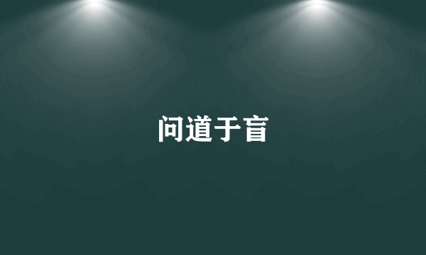 问道于盲