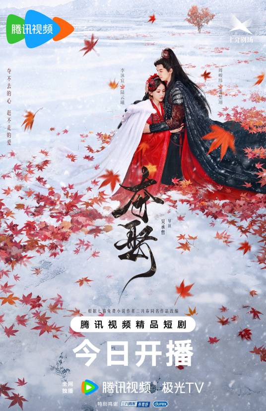 夺娶（2025年吴承哲执导的古装爱情剧）