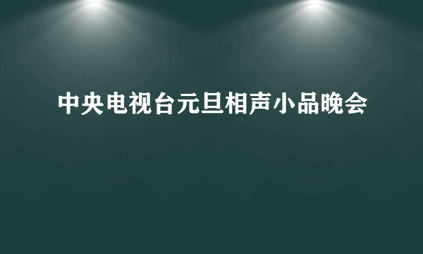 中央电视台元旦相声小品晚会