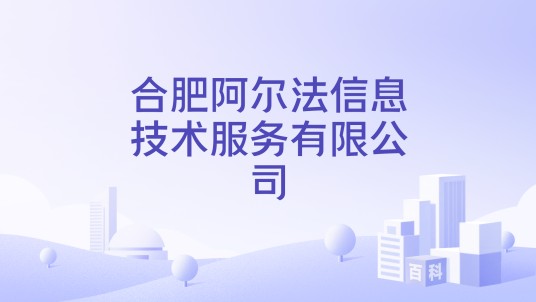 合肥阿尔法信息技术服务有限公司