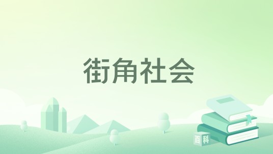 街角社会（1994年商务印书馆出版的图书）