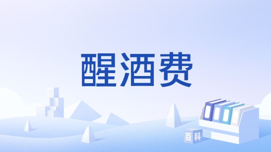 醒酒费