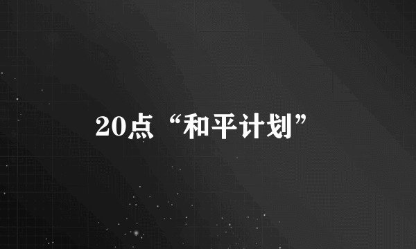 20点“和平计划”