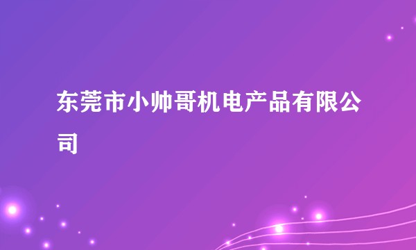 东莞市小帅哥机电产品有限公司