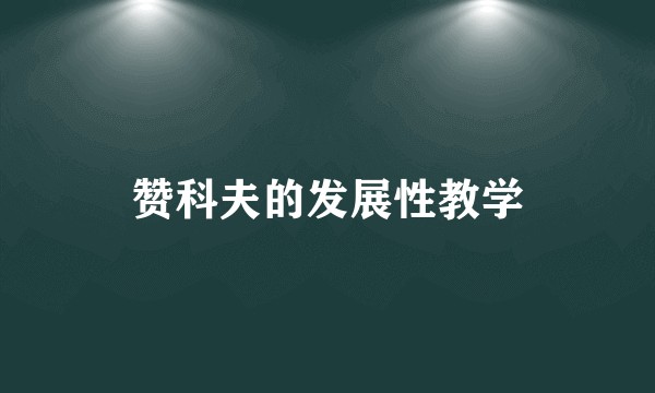 赞科夫的发展性教学