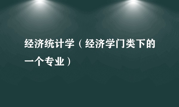 经济统计学（经济学门类下的一个专业）