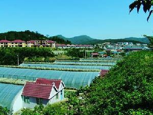 岔鞍旅游度假村