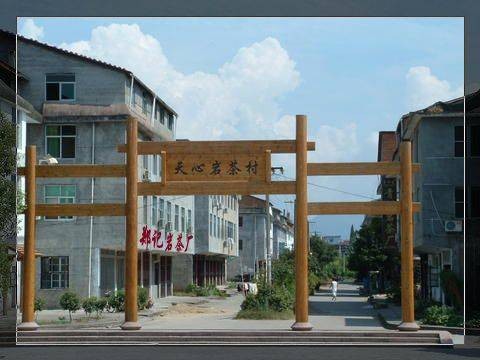 天心村（福建省武夷山风景名胜区的村庄）