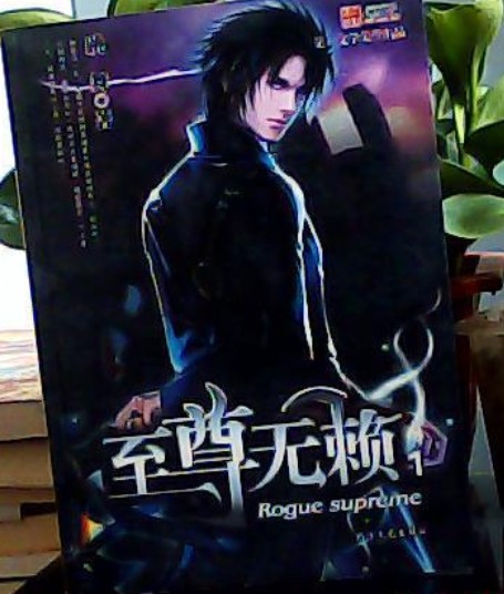 至尊无赖1