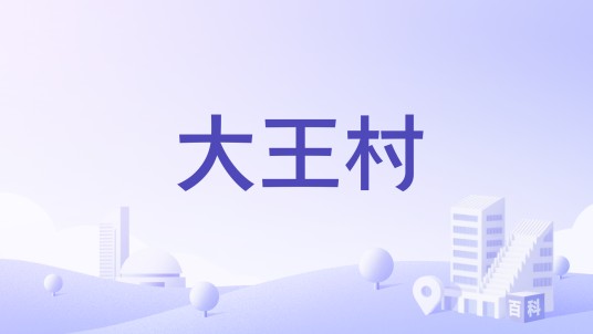 大王村（河南省商丘市柘城县牛城乡下辖村）