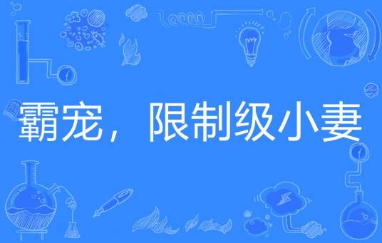 霸宠，限制级小妻