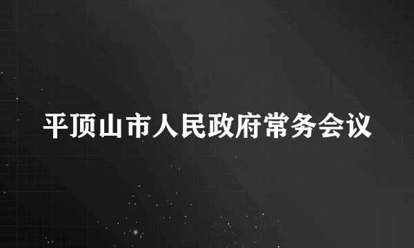 平顶山市人民政府常务会议