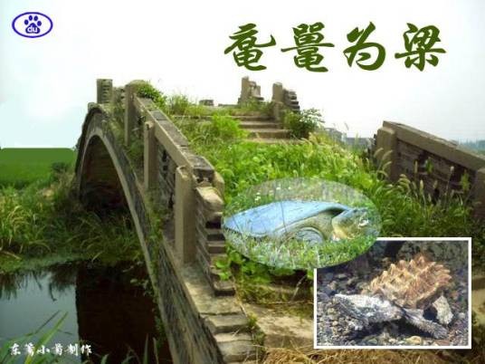 鼋鼍为梁