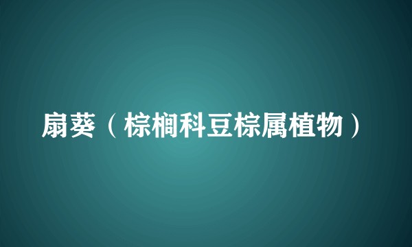 扇葵（棕榈科豆棕属植物）