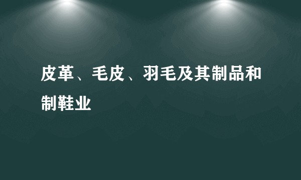 皮革、毛皮、羽毛及其制品和制鞋业