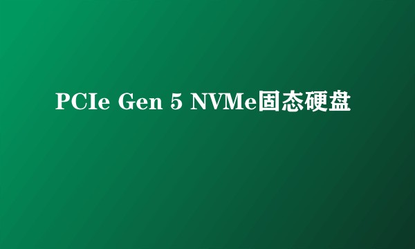 PCIe Gen 5 NVMe固态硬盘