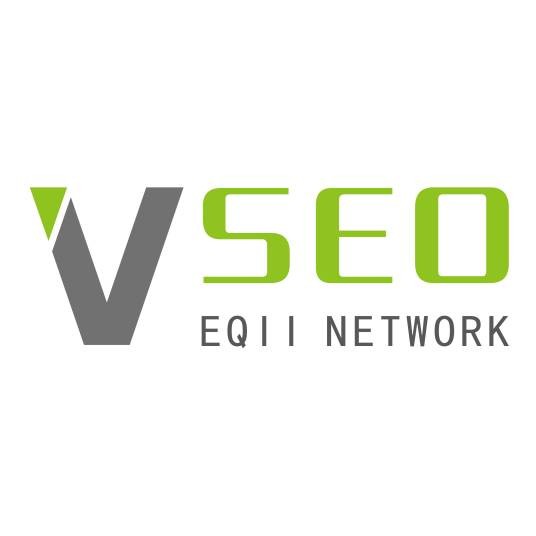 维骐SEO