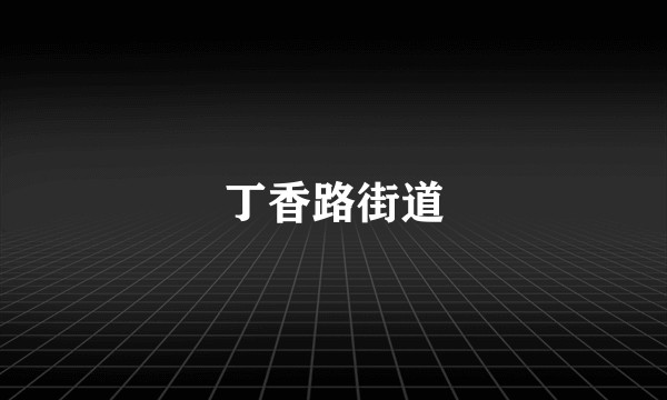 丁香路街道