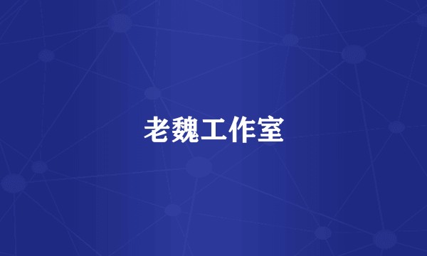 老魏工作室