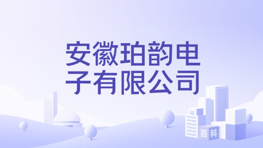安徽珀韵电子有限公司