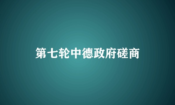 第七轮中德政府磋商