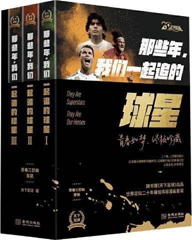 那些年,我们一起追的球星(2020年金城出版社出版的图书)
