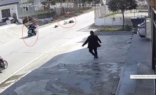 2·27信阳老人被撞身亡事件