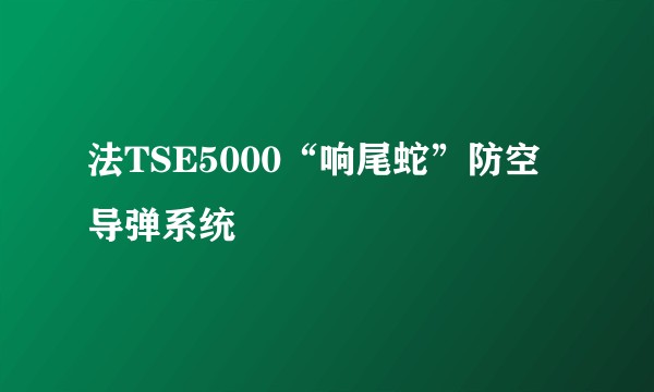 法TSE5000“响尾蛇”防空导弹系统
