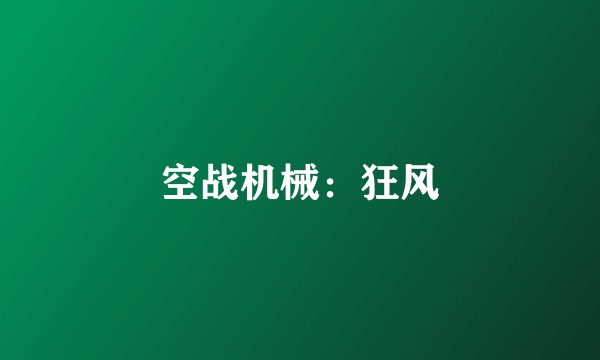 空战机械：狂风