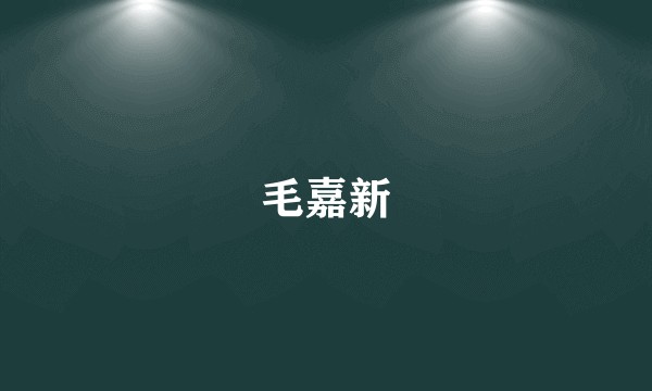 毛嘉新