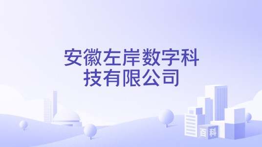 安徽左岸数字科技有限公司