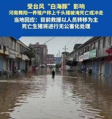 8·13舞阳养殖场被淹事件