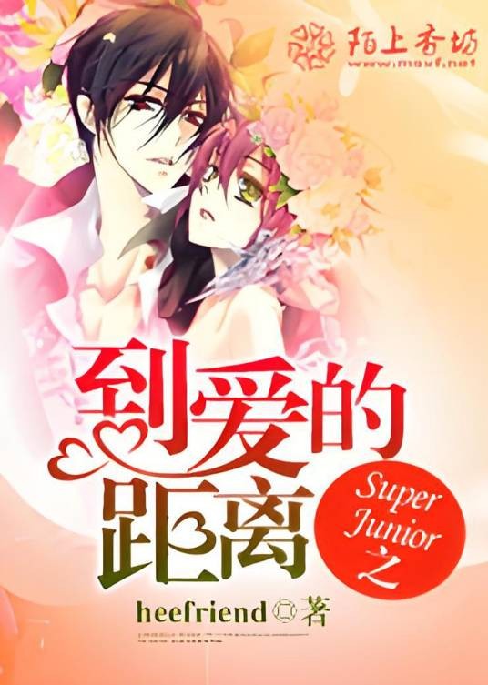 Super Junior之到爱的距离