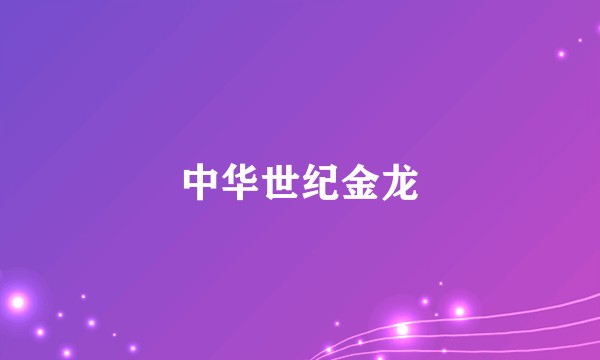 中华世纪金龙