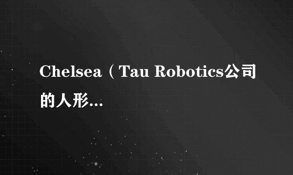 Chelsea（Tau Robotics公司的人形家政机器人）