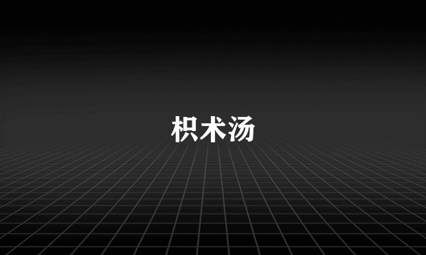 枳术汤