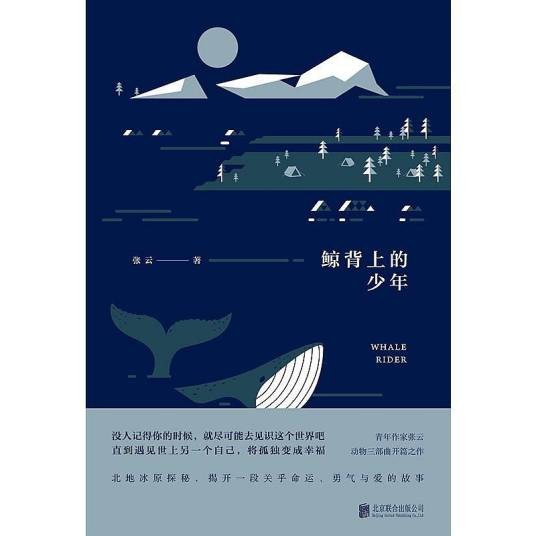 鲸背上的少年
