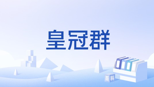 皇冠群