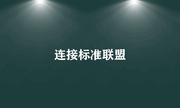 连接标准联盟