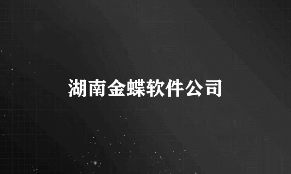 湖南金蝶软件公司