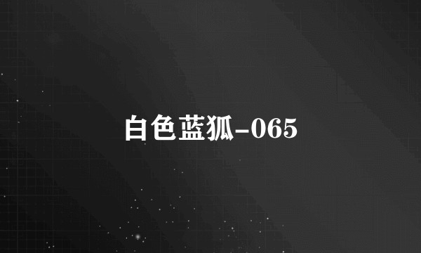 白色蓝狐-065