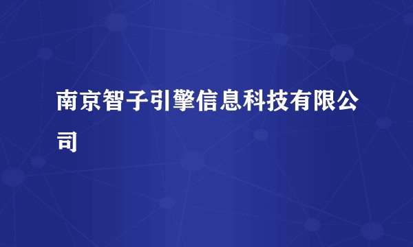 南京智子引擎信息科技有限公司