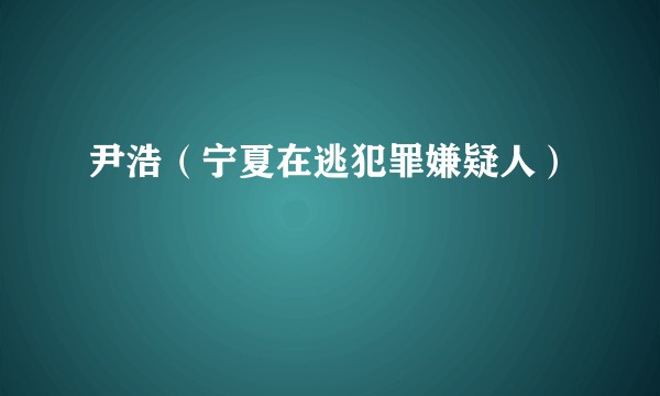 尹浩（宁夏在逃犯罪嫌疑人）