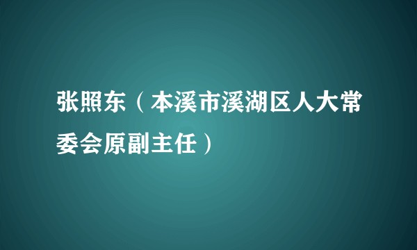 张照东（本溪市溪湖区人大常委会原副主任）